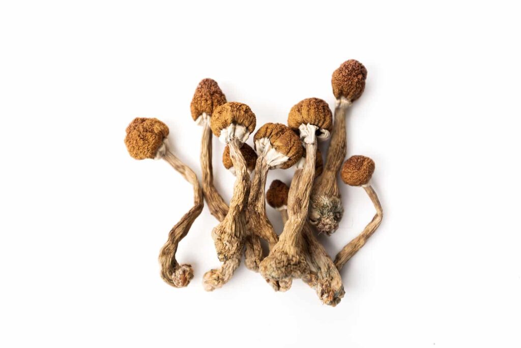 Psilocybin may be as effective as common antidepressant in treating depression